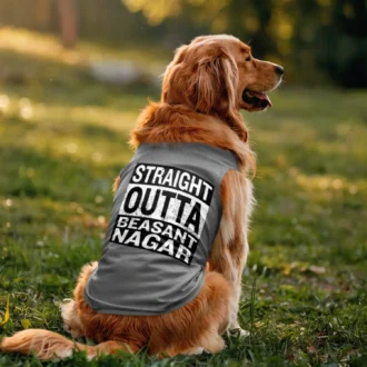 Straight Outta Beasant Nagar Dog Tank in Grey Melange Color
