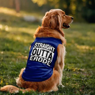 Straight Outta Erode Dog Tank in Royal Blue Color