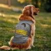 Laden Kitta Pesuriya, Bin Laden Dog Tank in Grey Melange Color